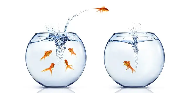 zoho crm salesforce data migration