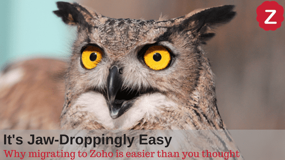 An Owl surprised at hot easy migrating to zoho is