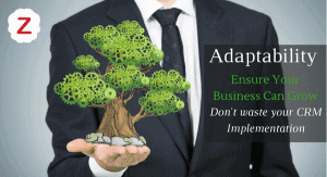 Adaptability Ensure Your Business can Grow with CRM Implementation